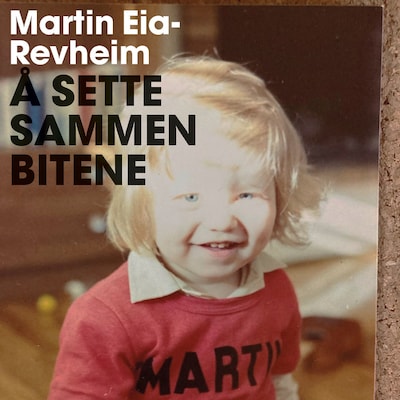 Å sette sammen bitene