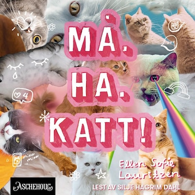 Må. Ha. Katt!