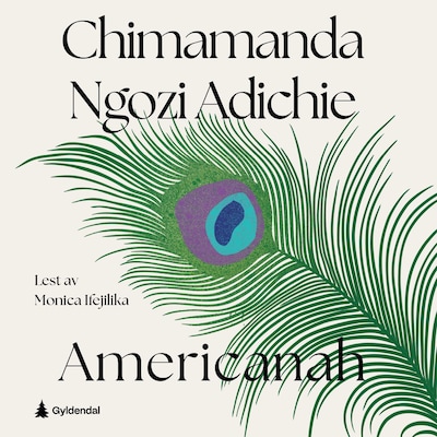 Americanah