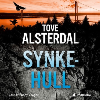Synkehull