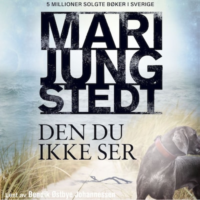 Den du ikke ser