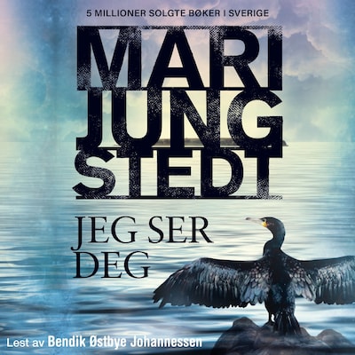 Jeg ser deg