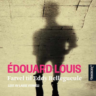 Farvel til Eddy Bellegueule