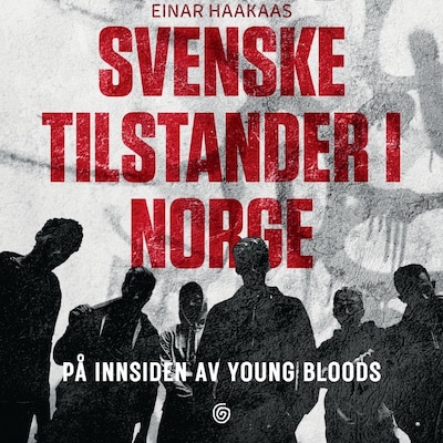 Svenske tilstander i Norge