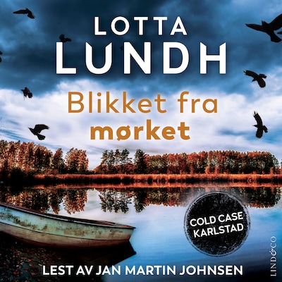 Blikket fra mørket